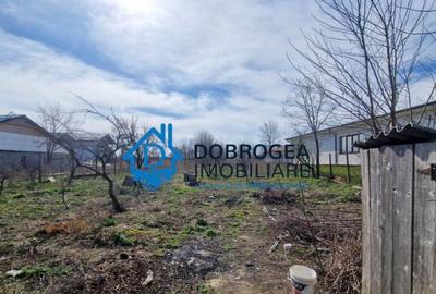 CATALOI - CASA P+E ,6 CAMERE ,TEREN 800 MP - 8