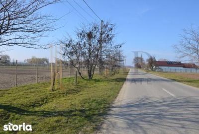Teren de 5600 mp, în Sălcioara - 1