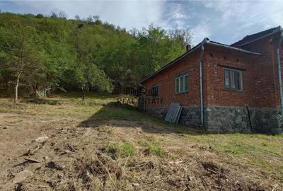 Teren, padure si casa in Dumbrava de Jos, jud. Hunedoara - 6