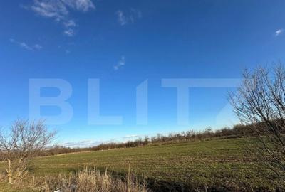 Casa batraneasca de vanzare, 48 mp, zona Patroaia Deal cu C - 13