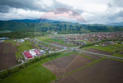 COMISION 0% | TEREN EXTRAVILAN | CRISTIAN | AUTOSTRADA A3 | GHIMBAV - 6