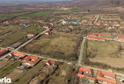 Casă cu 8 camere cu Teren 7235 Mp în Traian Vuia - 15