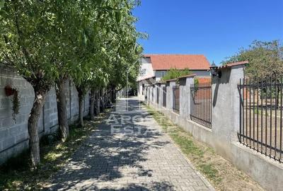 Casa central Dumbravita Casa central Dumbravita - 37