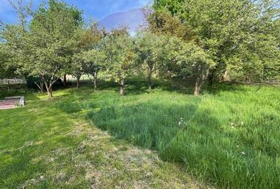 Teren sat Vale / Strada Principala - 3