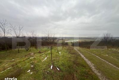 Teren de 2298 mp, în Robănești - 7