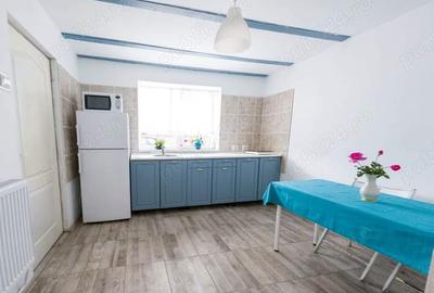 Inchiriez apartament 1 camera la casa - 2