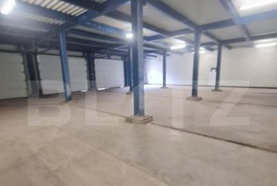 Hala open space, 400 mp, inaltime 4,5 m, Luna de Sus - 10