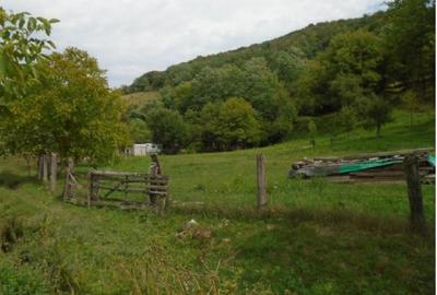Teren de 2825 mp, în Roșcani - 1