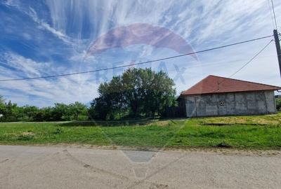 Casă cu 4 camere cu Teren 1440 Mp în Mișca - 7