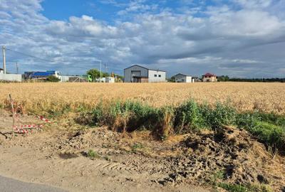 Teren de 5000 mp, în Gulia - 2