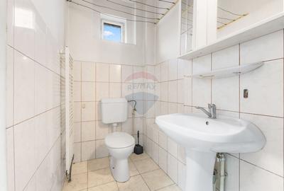 Casa spatioasa de inchiriat pe Malul Muresului - 8