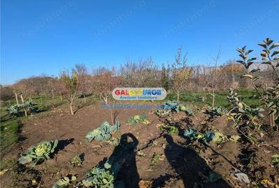 Adunatii Copaceni vila P+1 ,5 camere,suprafata 165 mp, teren 1300 mp - 14