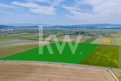 Teren de vanzare I 8 Euro/ mp I Deschidere la drum - Harman - 6