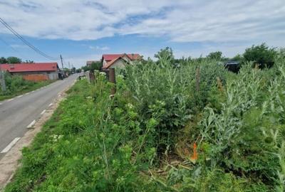 Teren de 967 mp, în Islaz - 4