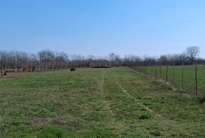 Casă individuală cu 8 camere cu Canalizare în Nord-Vest - 3