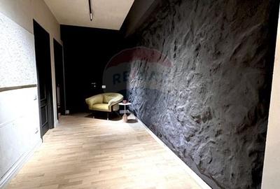 Spatiu/Apartament cu 3 camere de inchiriat/gradina/ Aviatiei/Nord - 10