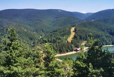 Teren Valiug 900-2400 mp acces auto utilita?i negociabil - 1