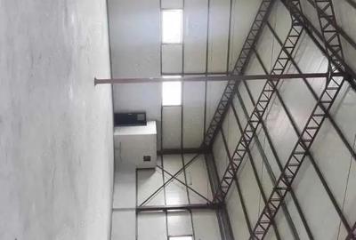 Hala 840 mp B-dul Biruintei AO - 3