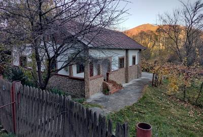 Casă cu 3 camere cu Teren 2450 Mp în Central - 12