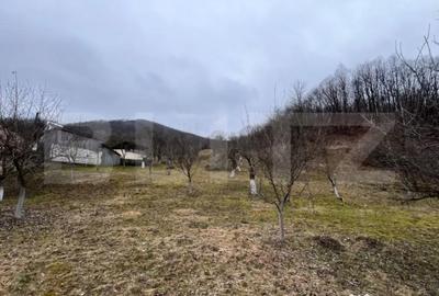 Teren în Stremț - 4