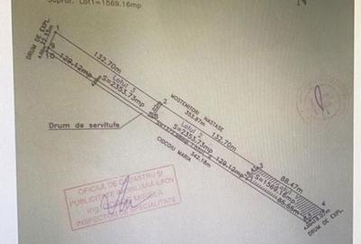 Spațiu comercial, în Olteniței - 1