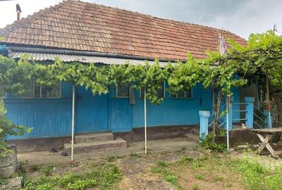 Spațiu comercial, în Pata - 2