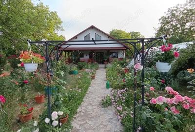 Casă cu 3 camere cu Teren 1544 Mp în Brebu - 10