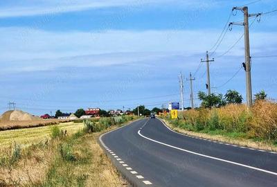 Vanzare Teren intravilan 10000mp Balaceanca - 5