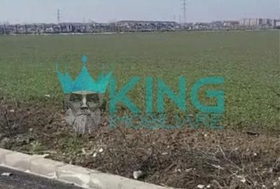 Teren Construcții intravilan de 5000 mp, în Dobroești - 3
