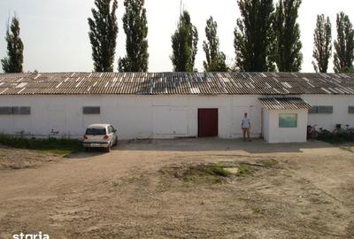 Teren de 180000 mp, în Gai - 12