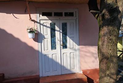 Casa jude?ul Vaslui - 1