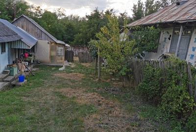 Casa de vanzare Antohesti Bacau - 8