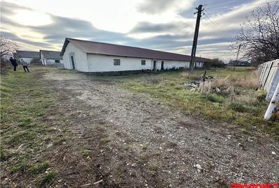 Platforma industriala 27.000mp - Racova - Buhusi - 10