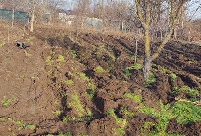 Casă cu 3 camere în Central - 3