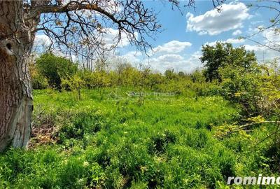 Teren de 509 mp, în Vernești - 5
