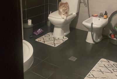 Casă individuală cu 4 camere cu Canalizare în Central - 4