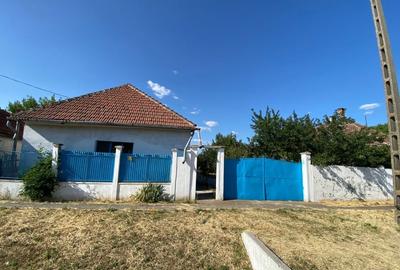 Casa de vacanta , 2 cam, teren 3.381 mp - 17