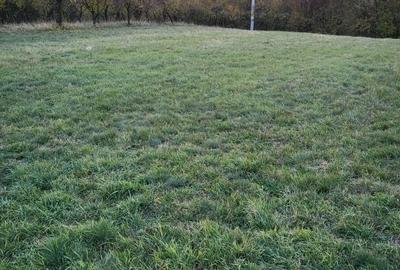 Teren de 600 mp, în Moșoaia - 2