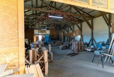 Spațiu industrial, de 650 mp, în Ribița - 7