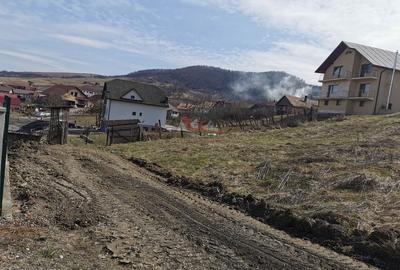 Teren intravilan , cu proiect pentru casa in Dej - 14