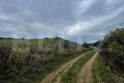 Teren de 2800 mp, în Drâmbar - 5