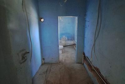 Casă cu 3 camere în Bârsa - 10