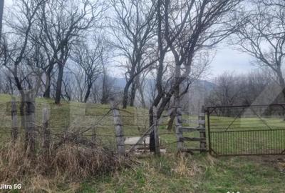 Teren în Schiulești - 9