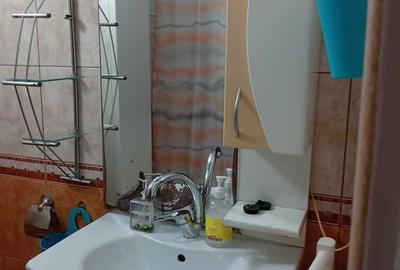 Apartament cu 2 camere în Calea Caransebeșului - 14