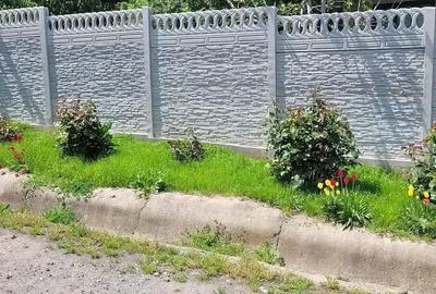 Casă cu 4 camere cu Teren 2500 Mp în Central - 3