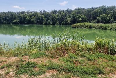 Teren 2110 mp de vanzare  – Brănești, Ilfov, locație unică lângă lac și pădure - 3