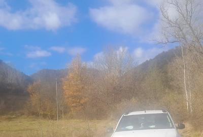 Vând teren 3 euro mp MEHADIA la 8km de BĂILE HERCULANE - 8