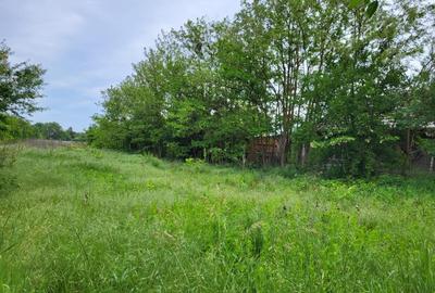 Teren Construcții intravilan de 3717 mp, în Siliștea Snagovului - 3