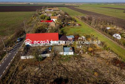 Casă individuală cu 4 camere cu Canalizare în Variașu Mare - 8