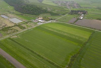 Teren extravilan de 22500mp Zona Ineu - 5